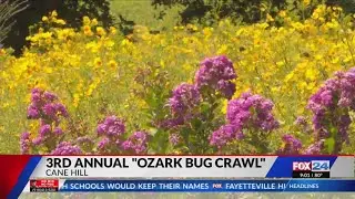 Creepy crawlies and prizes to be found at 3rd annual Ozark Bug Crawl