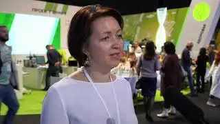 Проектория 2019