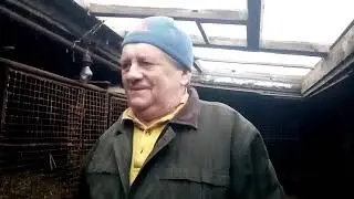 ещё раз о крупных нутриях (1 часть)