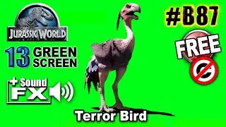 Terror Bird Green Screen 3D