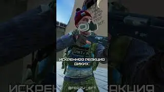 ТГК: Тарковское Пиво (Т.П.) #shorts #EscapeFromTarkov #eft #scaw #pmc