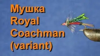 Мушка Royal Coachman variant