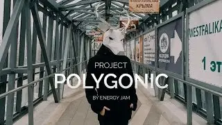 THE POLYGONIC PROJECT PROMO