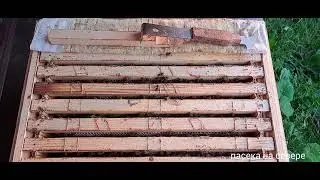 Есть ли МЁД в магазинах на 12 июля 2023? | Северное пчеловодство