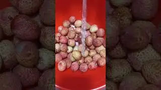 Lychee fruit Washing Asmr 
