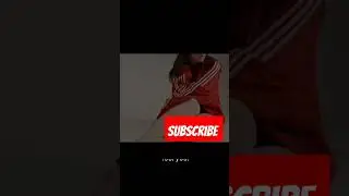 Adidas vs Zara: Unveiling Fashion Giants in the United States | official video.