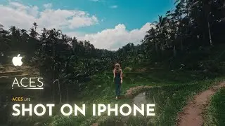Grade APPLE LOG like a pro camera + Free CALIBRATION LUT