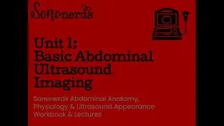 Basic Abdominal Ultrasound Imaging :: Unit 1 :: Normal Abdomen Ultrasound with Sononerds