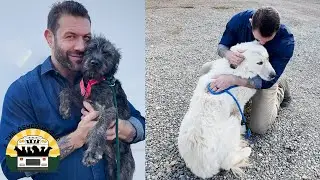 I fought hard to make sure these dogs were safe | The Asher House