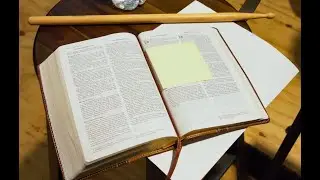 01. ВВОДНАЯ ЛЕКЦИЯ