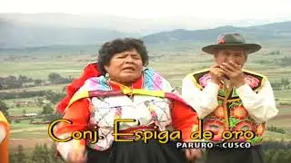 CONJUNTO ESPIGA DE ORO - AGONIAS DE LA VIDA