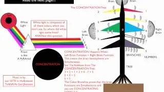 The Concentration Tree
