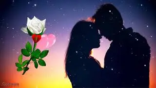 РОЗЫ БЕЗ ШИПОВ