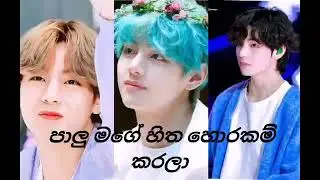 Palu mage hitha song (පාලු මගේ හිත හොරකම් කරලා)Korean mix sinhala song (2021) Bts V