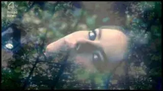 Visions of Skins