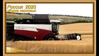 Комбайн ACROS 595. 2020. Россия. Криничное. Жатва. Уборка пшеницы. часть1.