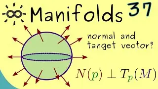Manifolds 37 | Unit Normal Vector Field