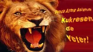 Gripin Sensiz Olmaz Galatasaray ! 2016