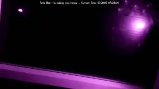 Beeeeees, not the beeees