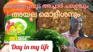 പാളിപ്പോയ Day in my life #holiday
