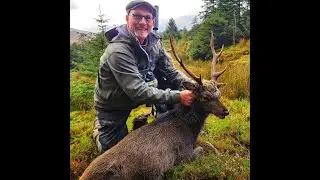 Ireland's Whistling Stags