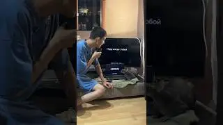 Поем караоке с котом