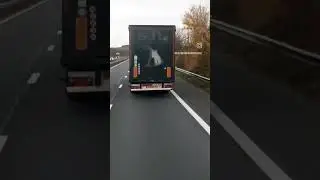 Шок.Что за странный зверь на дороге.#Дальнобой