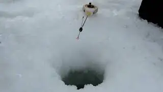 Обзор зимней удочки