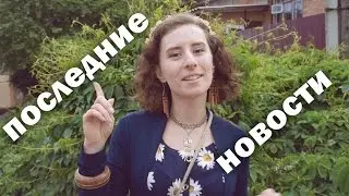 ПОСЛЕДНИЕ НОВОСТИ: ФЕСТИВАЛЬ ГАУРАНГА, МОЙ КУЛИНАРНЫЙ КАНАЛ!