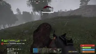 A little M4 shotgun hunting 