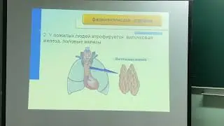 Видеолекция УД Основы патологии. 