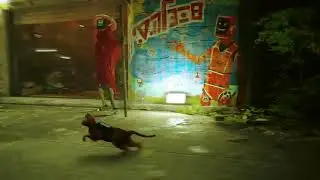 Stray animations running at 30 fps?