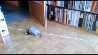 Tośka 10.02.2012