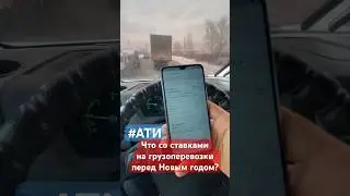 Что со ставками на грузоперевозки перед Новым годом?🤷‍♂️ 