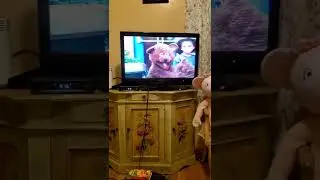Opening To Sesame Street Imagine That 1996 VHS