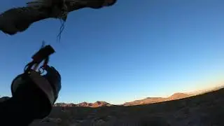 Running with Red-tails - Episode 2