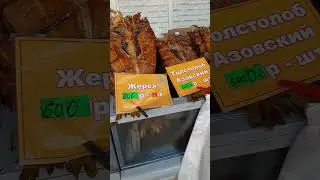 Рыбец вяленый жирненький вкусненький на рынке в Анапе