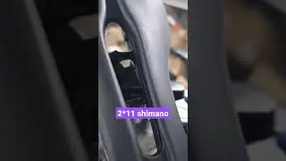 как вам такой шоссейник? 