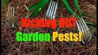 Kicking Garden Pests Out~