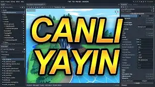 Oyun geliştiricisi