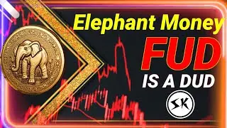 Elephant Money FUD Falls Short | Haters Sit Down