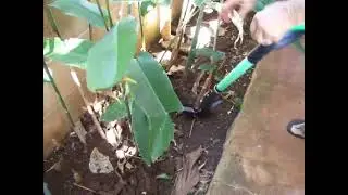 The Spear Head Spade significantly reduced digging effort Excellent gardening tool | BestYardTips