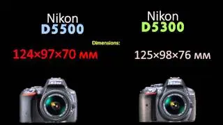Nikon D5500 vs Nikon D5300