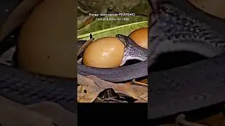 Отправь своей мадам🤣 