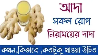 আদা খাওয়ার উপকারিতা | Amazing health benifits of ginger