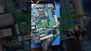 Orginal Korean motherboard available Green Land Technologies BD