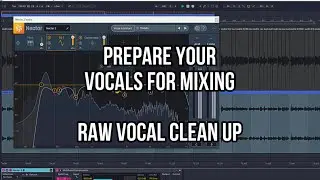 RAW VOCAL PROCESSING prepare vocals for the mix