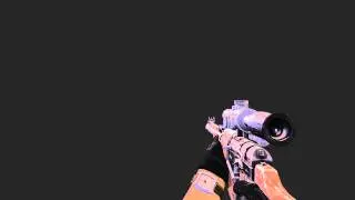 VSS Vintorez Animation Sets