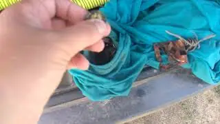 скромный коп на деревенском пляже