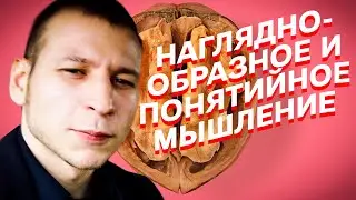 Звонов про наглядно-образное и понятийное мышление